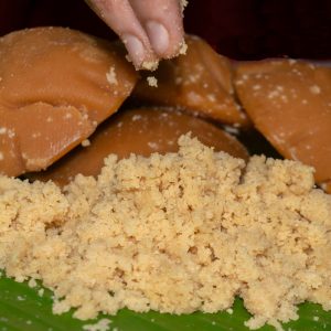 Nolen Gurer Makha Sandesh