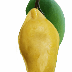 Mango Korapak Sandesh